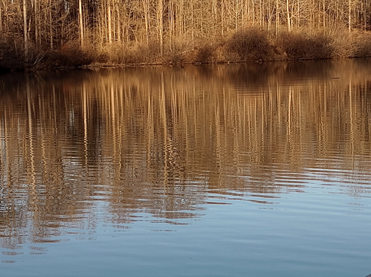 George Poston Park-加斯托尼亚必去景点