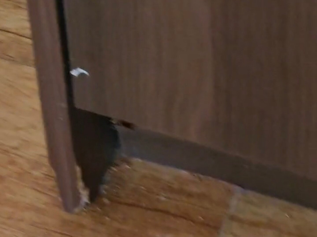 卡域拉贾别墅主图