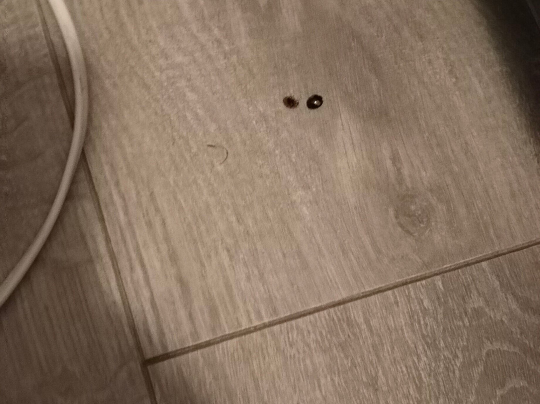 Domaine Long Pre主图