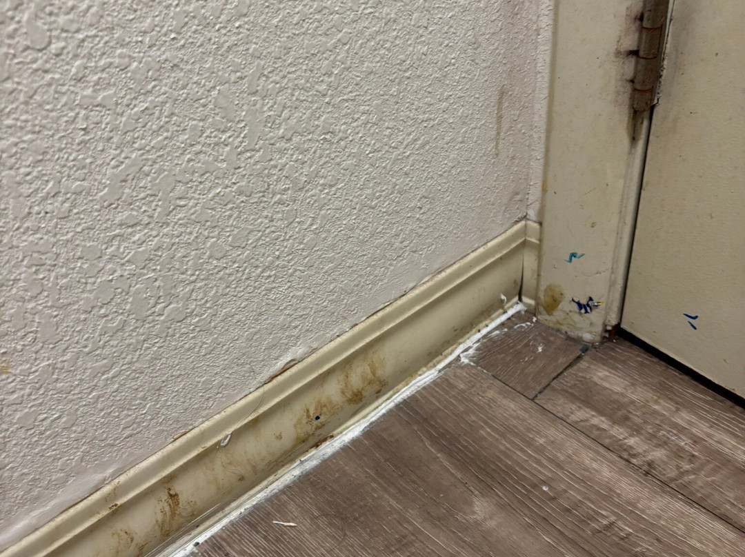 Red Roof Inn Buffalo - Hamburg/ I-90主图