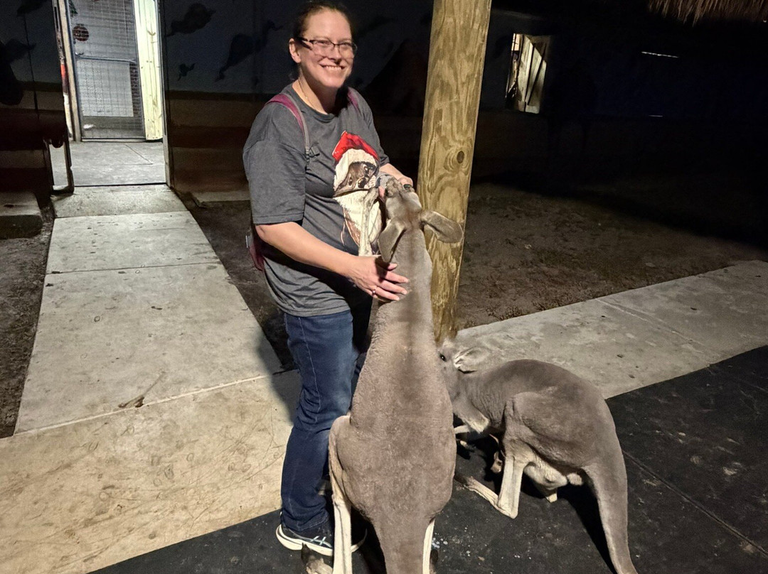 Animal EDventure Park & Safari-博因顿海滩必去景点