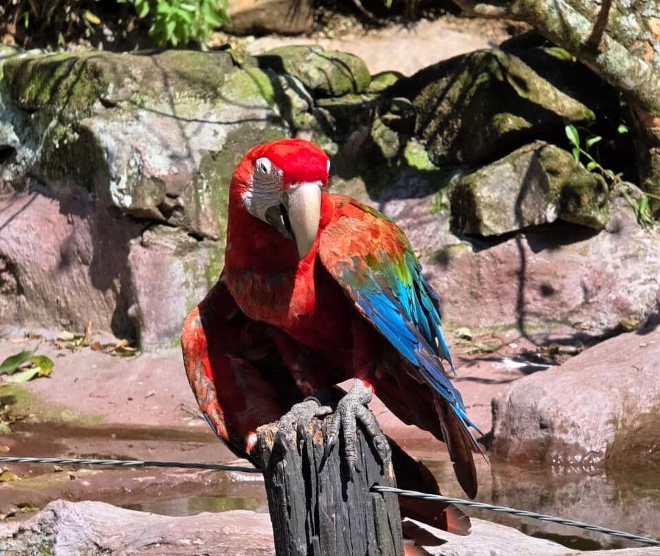 Gramadozoo-格拉玛多必去景点