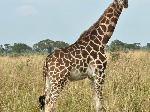 Bigodi Africa Expeditions Ltd-恩德培必去景点