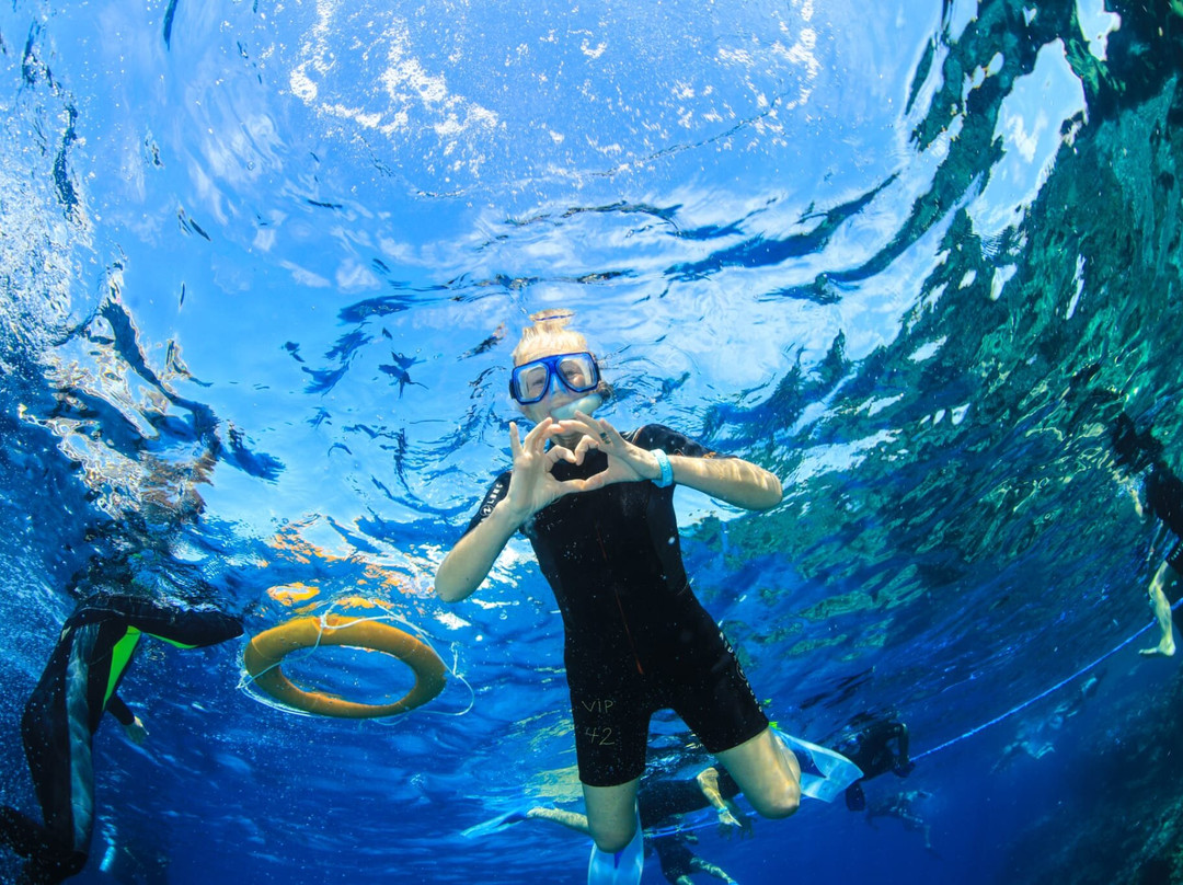 VIP Diving College-沙姆沙伊赫必去景点