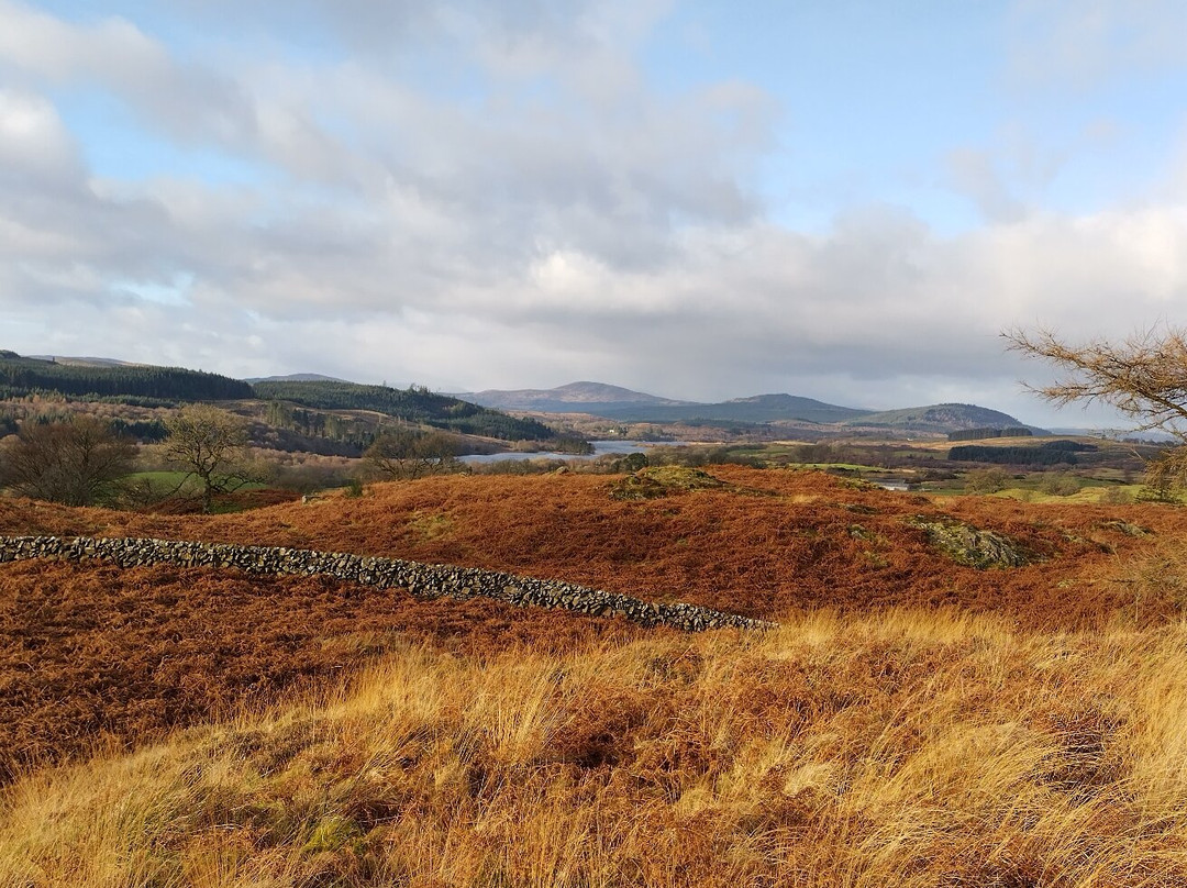 Bellymack Hill Farm - Kite Feeding Station-Laurieston必去景点