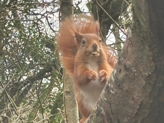The Dingle (Nant y Pandy) Nature Reserve-Llangefni必去景点