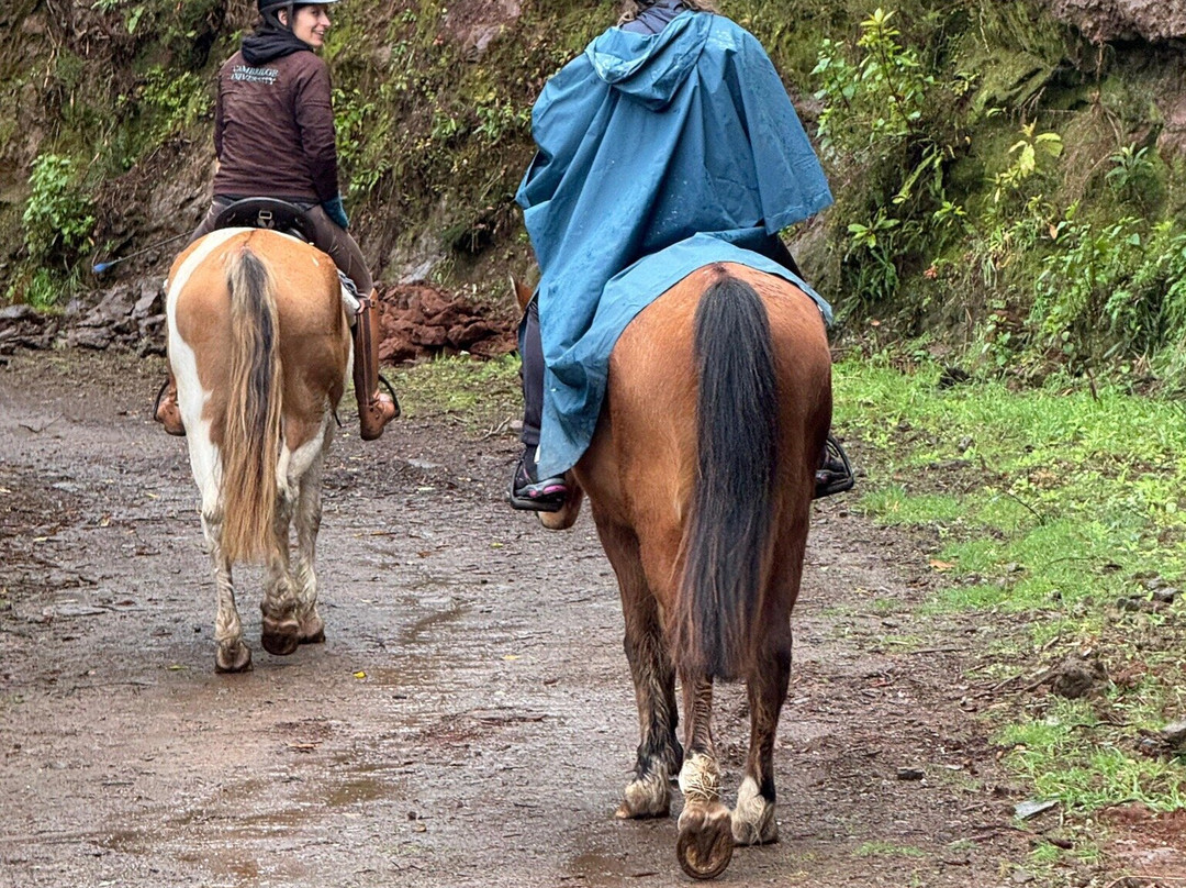 Equine Village by Quinta do Riacho-Santo da Serra必去景点