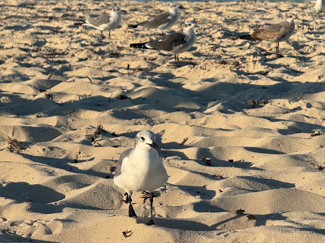 Santa Maria Beach-圣玛丽亚岛必去景点