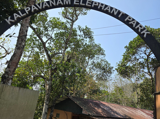 Kalpavanam Elephant Park-帖可迪必去景点