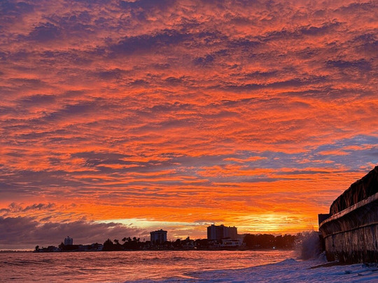 Ocean Park-圣胡安必去景点