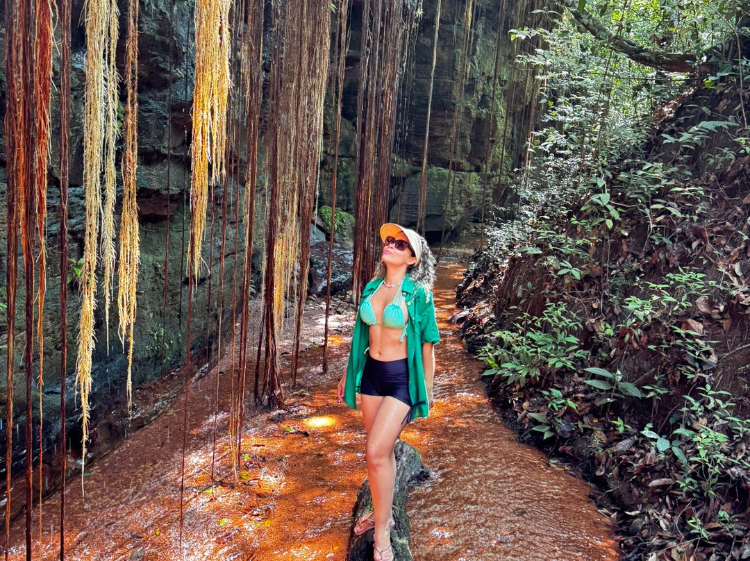 Explore Jalapão-Ponte Alta do Tocantins必去景点