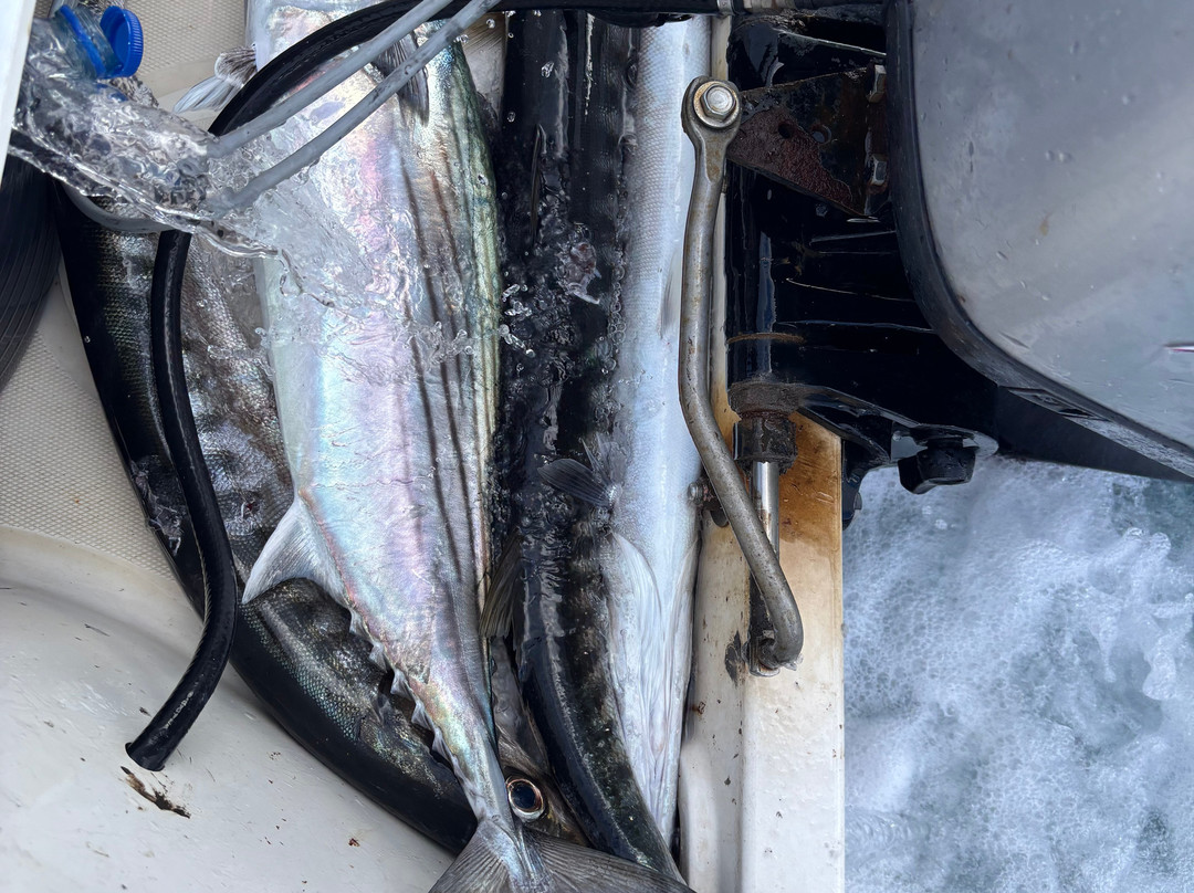 Kleie Charters Fuerteventura-Gran Tarajal必去景点