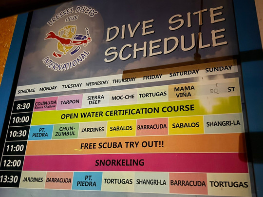 Dressel Divers Playa Del Carmen-普拉亚德尔卡曼必去景点