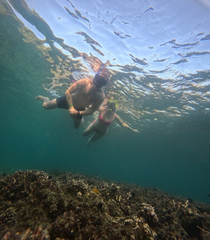 Diamond Tour - Day Tours-涛岛必去景点