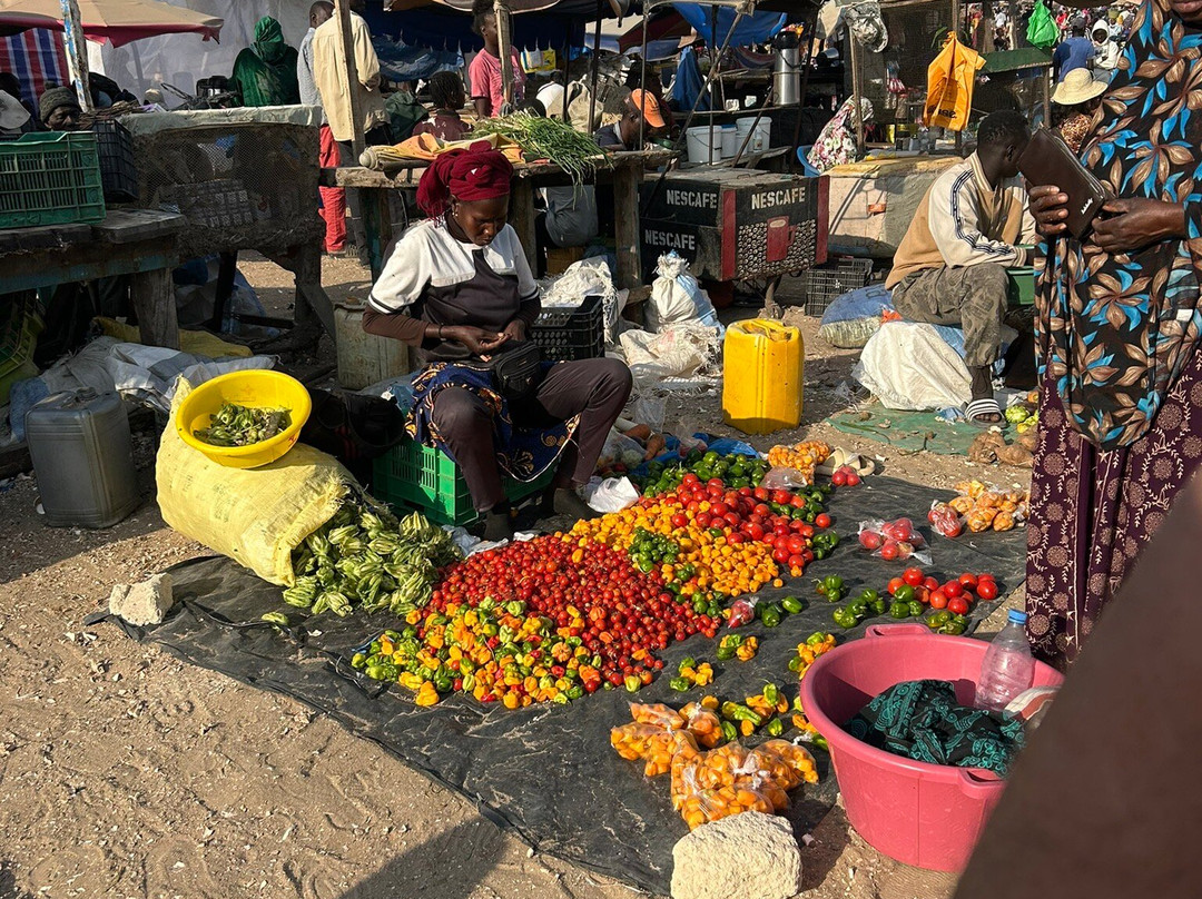 Max Sakho Chauffeur Guide-Saly必去景点