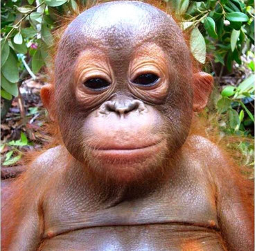 Caravanserai of Sa'd al-Saltaneh-加兹温必去景点