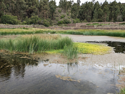 Avalos Tours-库斯科必去景点
