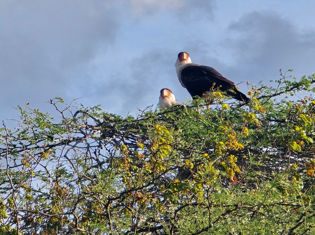 Washington Slagbaai National Park-Rincon必去景点