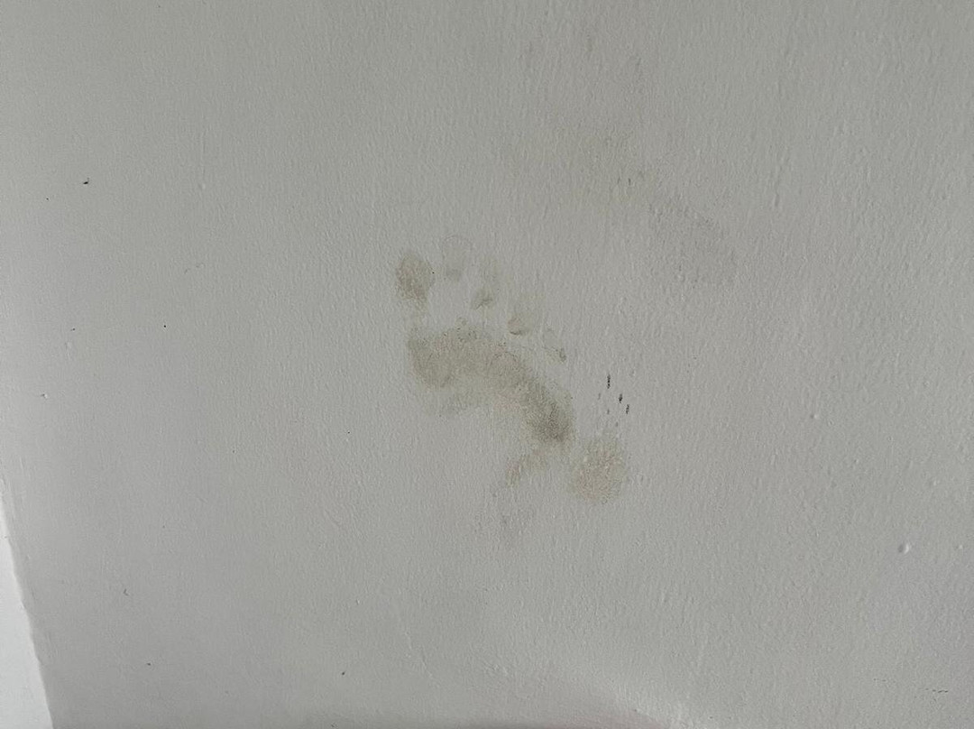 斯库巴塞拉雅度假村主图