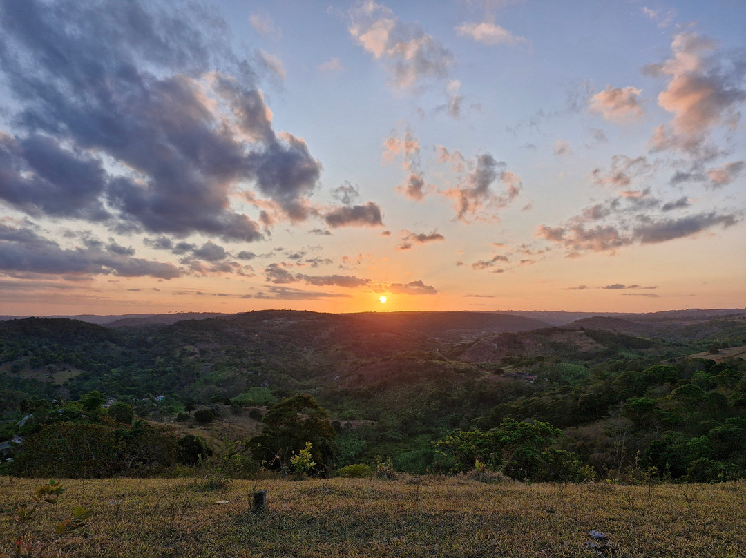 BARTUS Experiências-Bananeiras必去景点