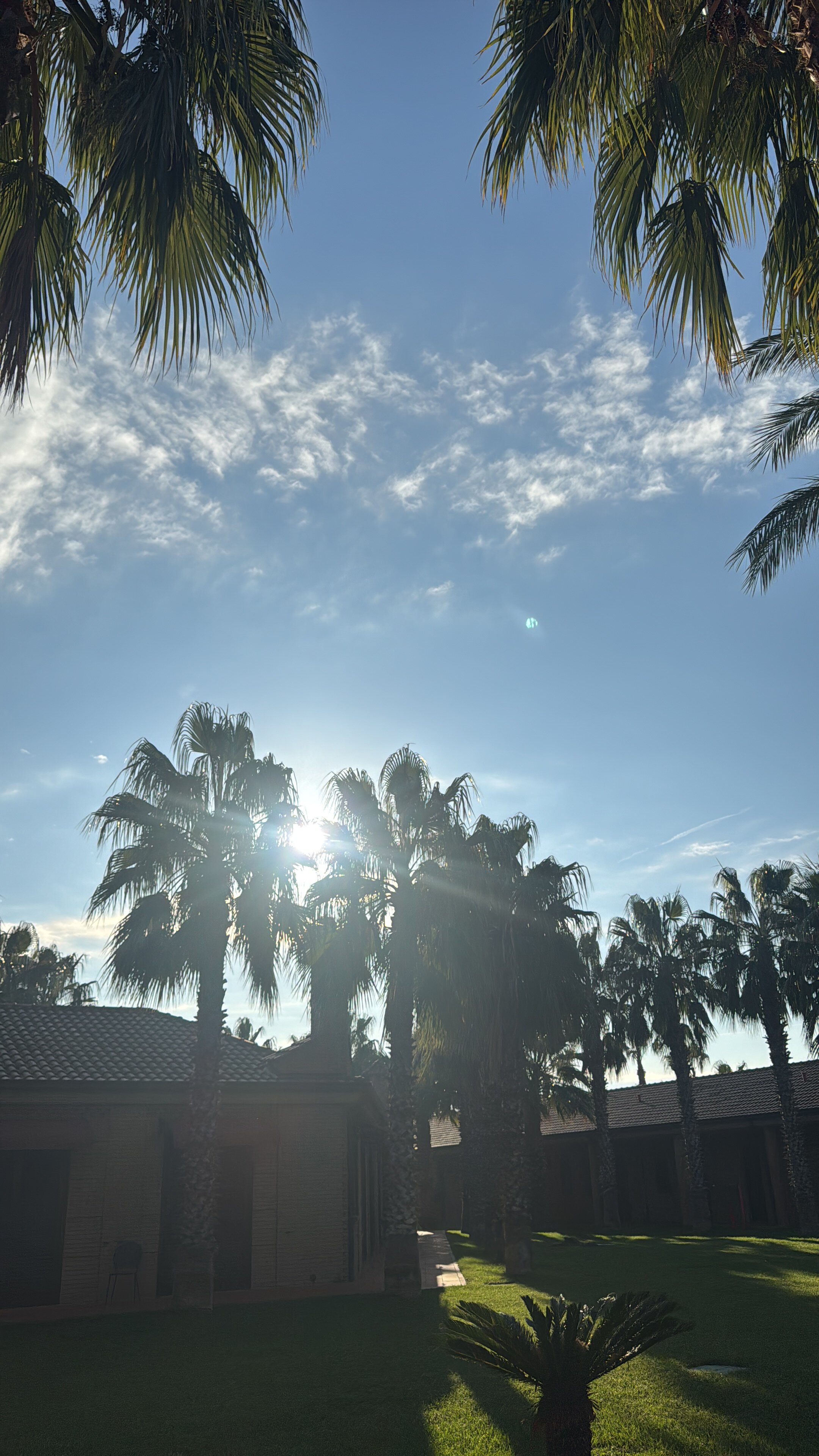 维尼亚诺切利大酒店-官方