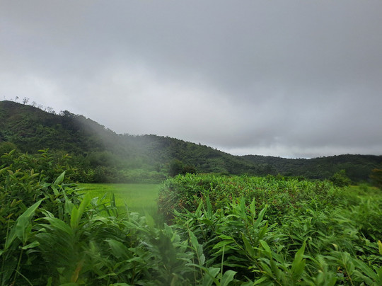Jean Be Tours-安塔那那利佛必去景点
