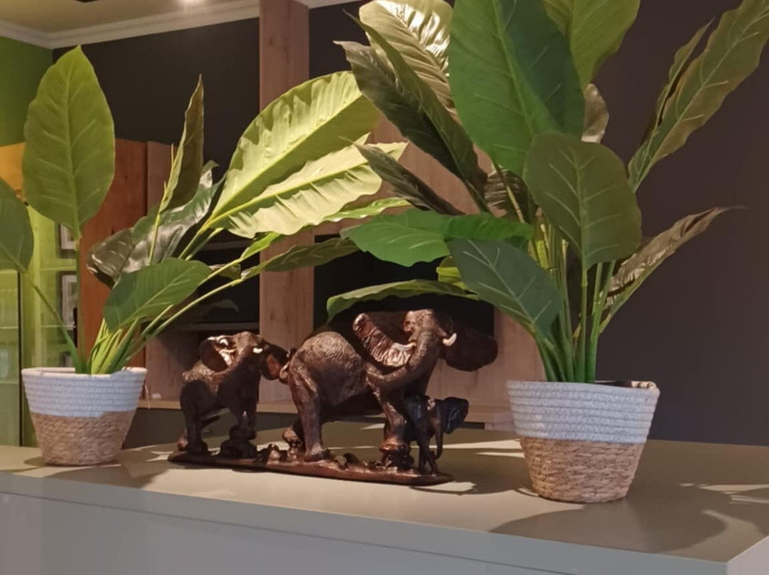 Elephant Whispers-雾观必去景点