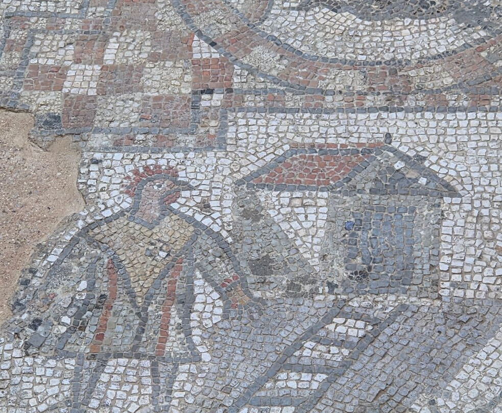 Brading Roman Villa-Brading必去景点