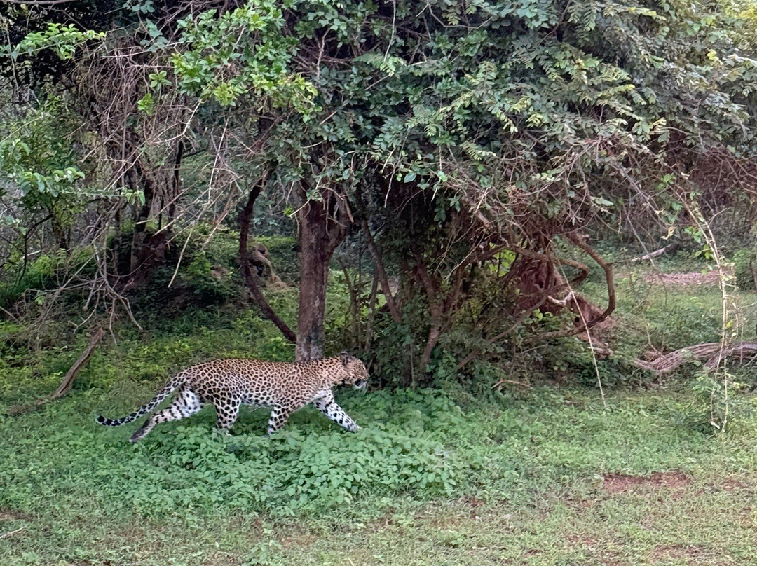 Luxurious Lanka-Ekala必去景点