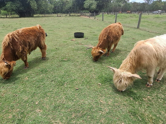 Splitters Farm-邦德堡必去景点