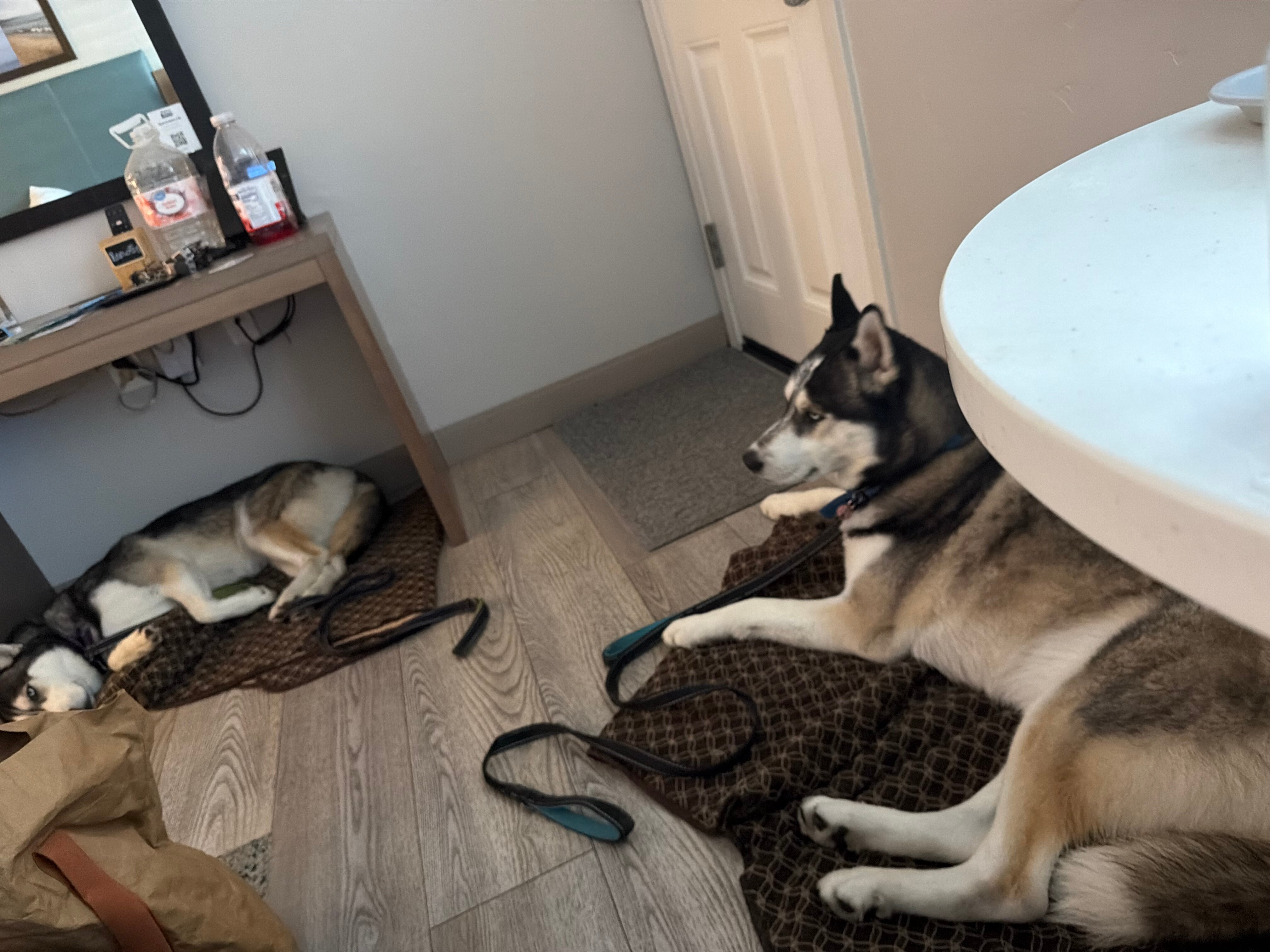 玛丽娜海滩汽车旅馆-官方