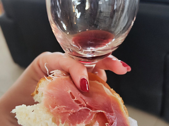 Vistandes Winery-Maipu必去景点