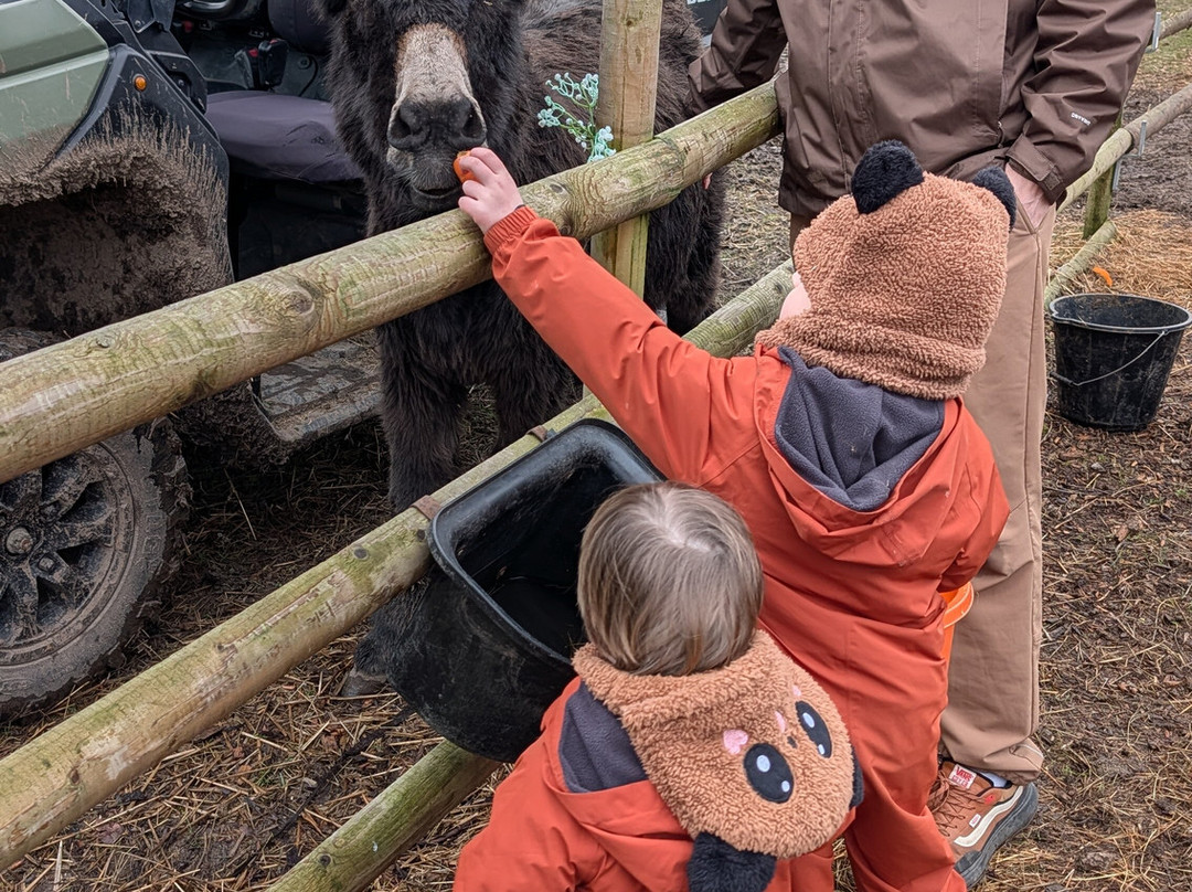 Woodlands Alpaca Farm-沃灵顿必去景点