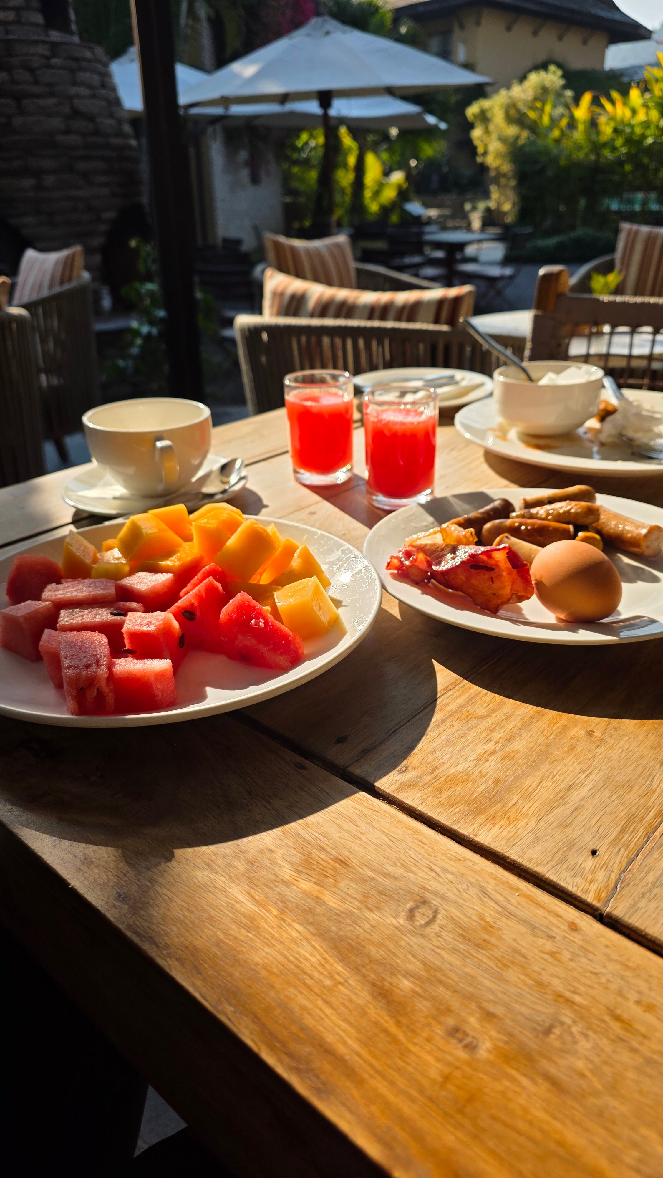 寺庙树温泉度假村-官方