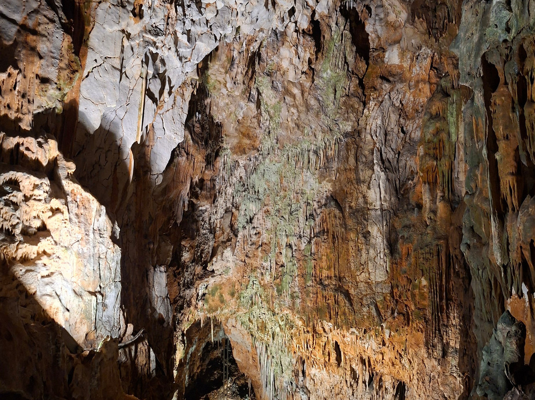 Grotta Gigante-Borgo Grotta Gigante必去景点