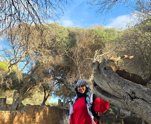 Ruines Romaines Tipaza-蒂帕萨必去景点