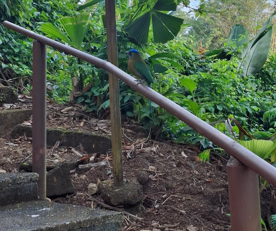 Hotel Jinetes de Osa主图