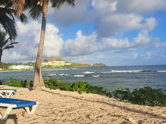 The Palms at Pelican Cove主图