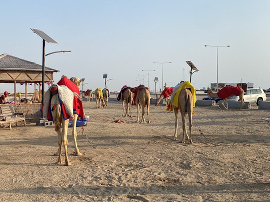 Gulf Dunes Toursim-多哈必去景点