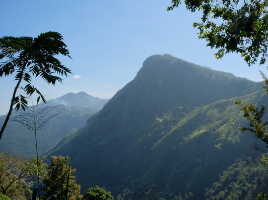 Dilshan Tours In Sri Lanka-尼甘布必去景点