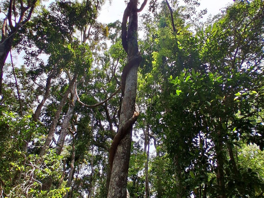 Sightseeing Tours Australia-墨尔本必去景点