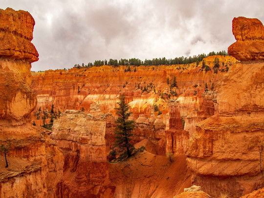 Queen's Garden Trail-布莱斯峡谷国家公园必去景点