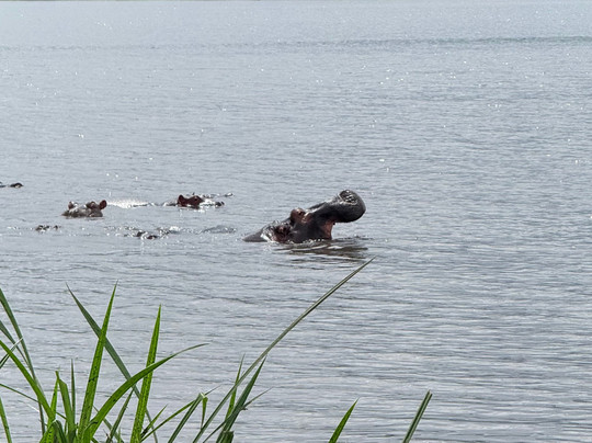 Usaka African Adventures-阿鲁沙必去景点