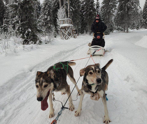 Aavasaksa Adventures-Ylitornio必去景点