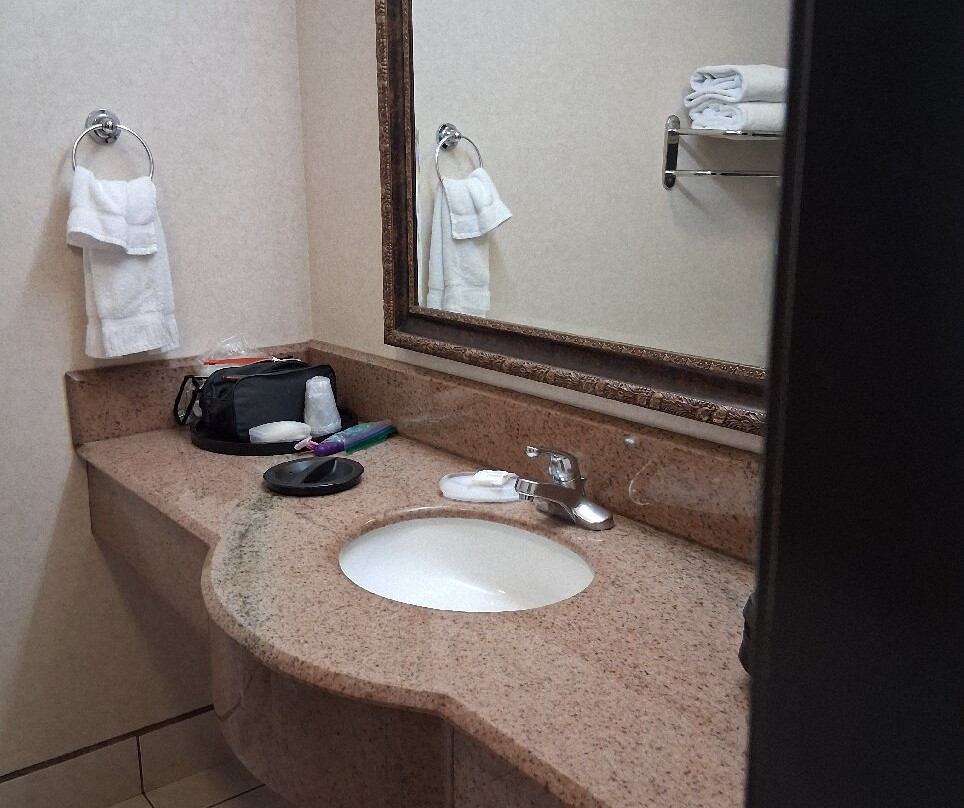 柑橘套房雷德兰兹洛马琳达酒店主图