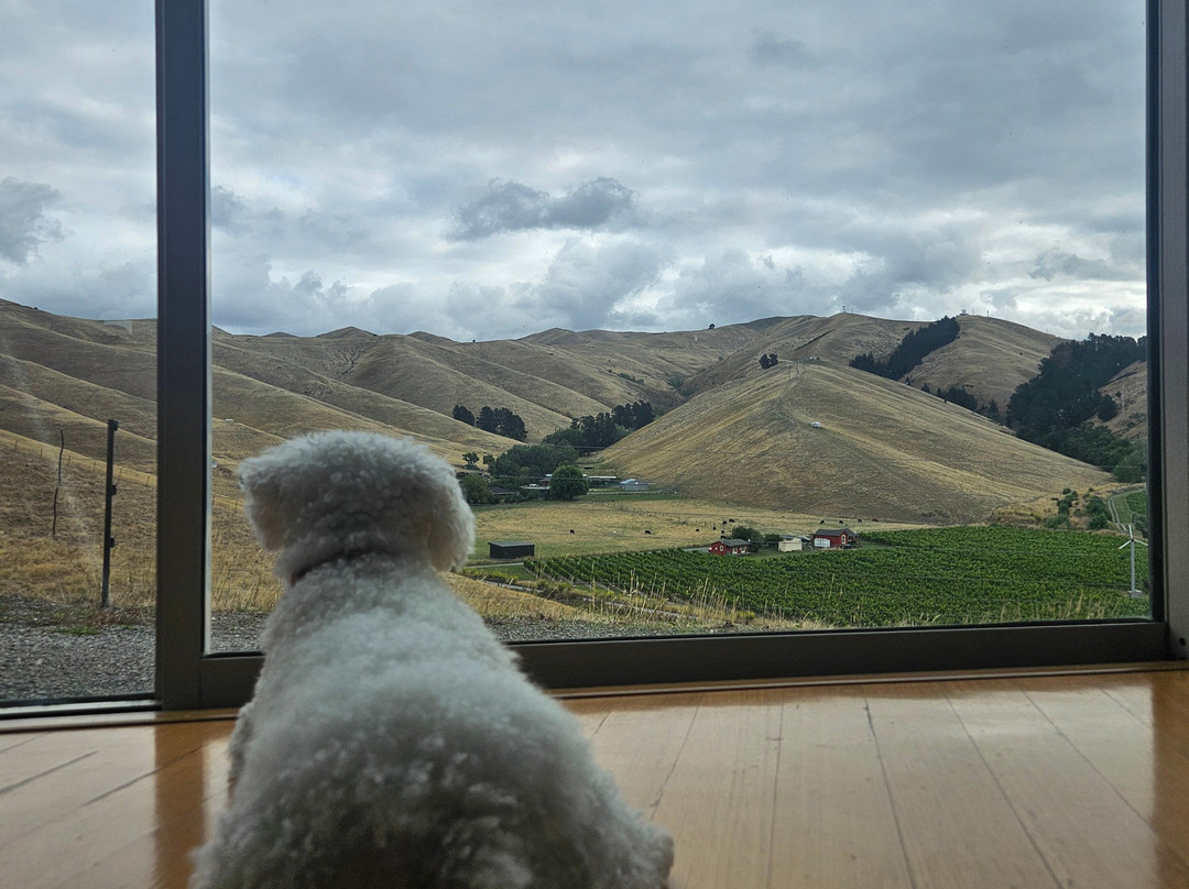 Mountainview Villa Luxury Lodge主图