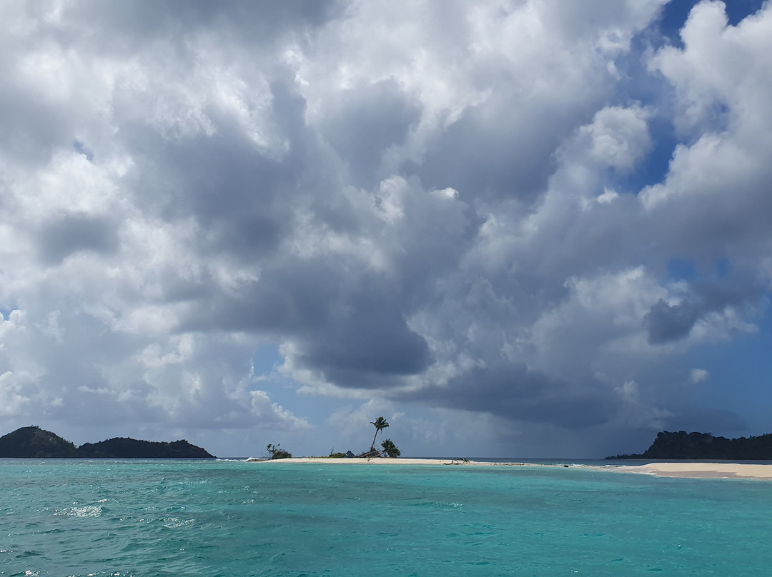 Froggy's Reef Tours and Snorkeling Carriacou-Carriacou Island必去景点