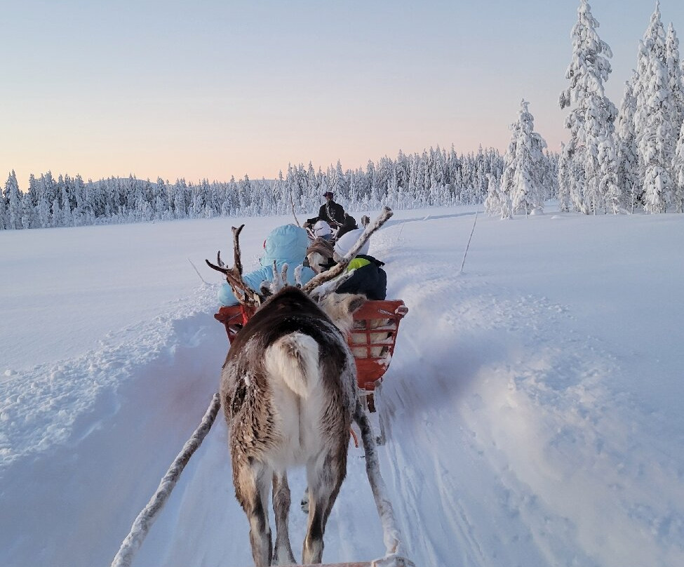 Lapland Safaris Yllas-Akaslompolo必去景点