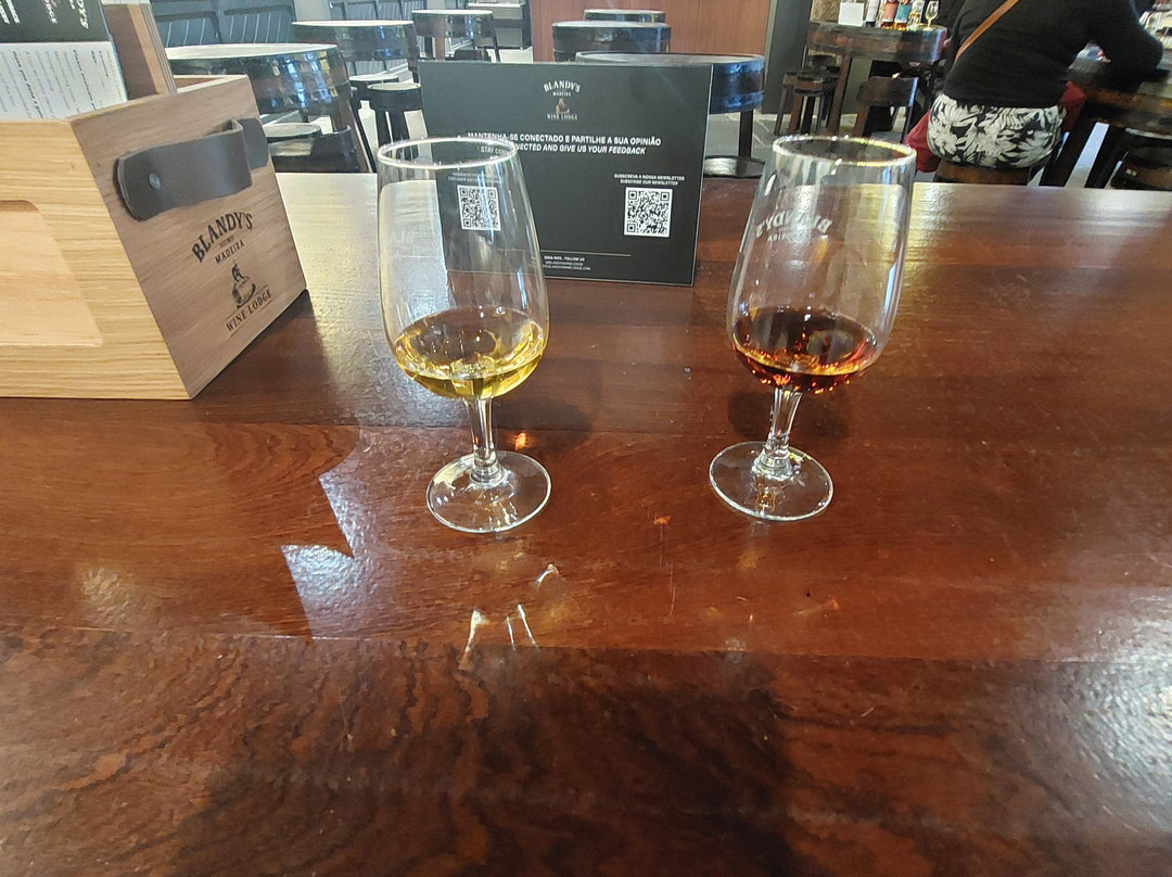 Blandy's Wine Lodge-沙尔必去景点