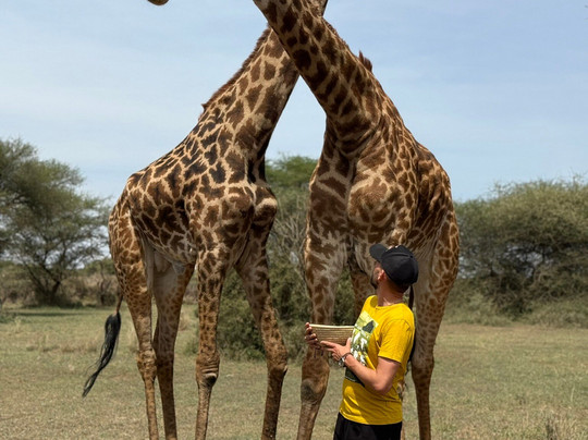 Pipit Safari-阿鲁沙必去景点